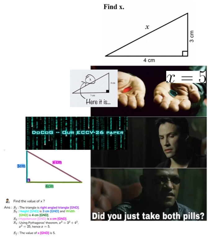 DoCoG: the answer and its grounding — take both pills